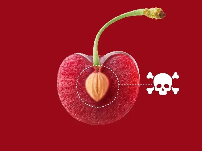 Cherry Pits Poison