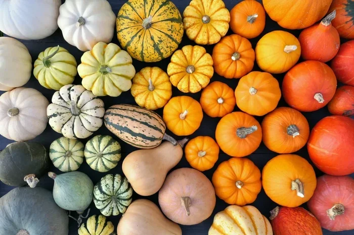 Are All Pumpkins Edible