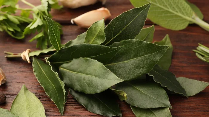 Bay Leaves