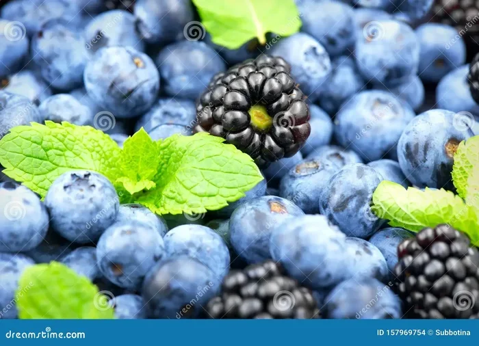 Blueberries Vrs Blackberries