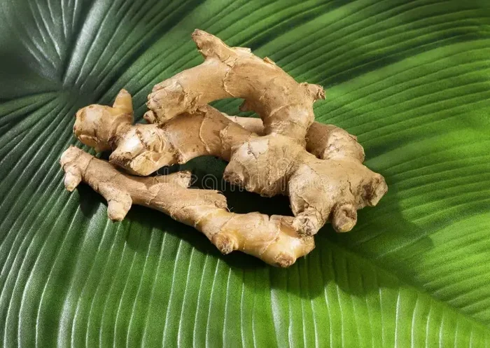 Can You Eat Ginger Raw