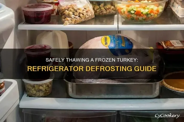 How Long Does It Take to Defrost a 20 Pound Turkey
