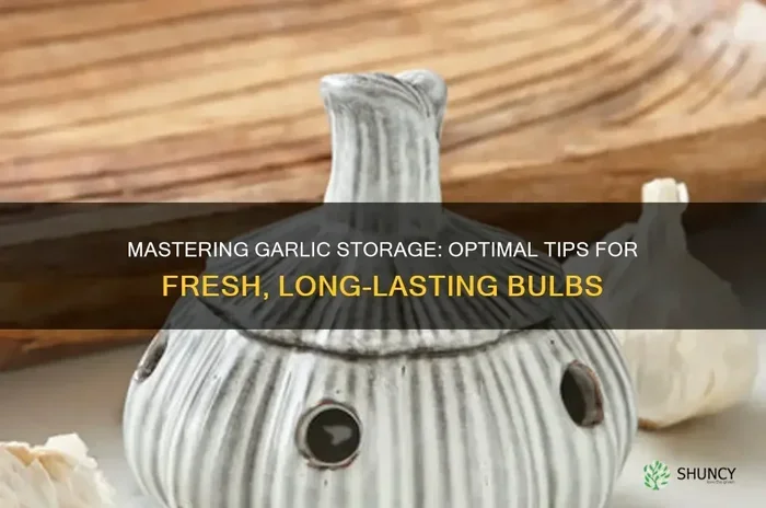 How to Store Garlic Bulbs