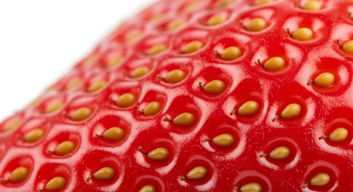 Biggest Strawberry in the World