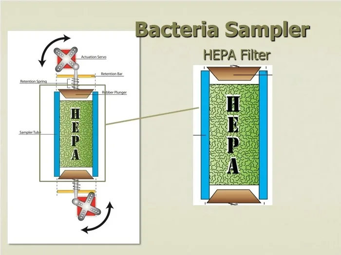 Absorb Airborne Bacteria