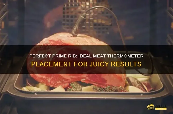 Internal Temp for Prime Rib