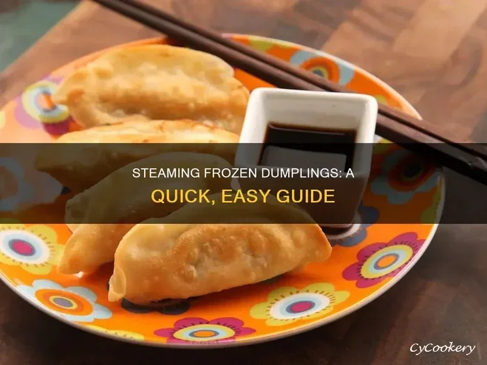 How Long to Steam Frozen Dumpling